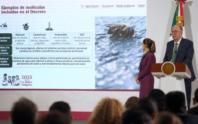 🌱 México prohíbe 35 plaguicidas: un parteaguas para el campo y la salud pública