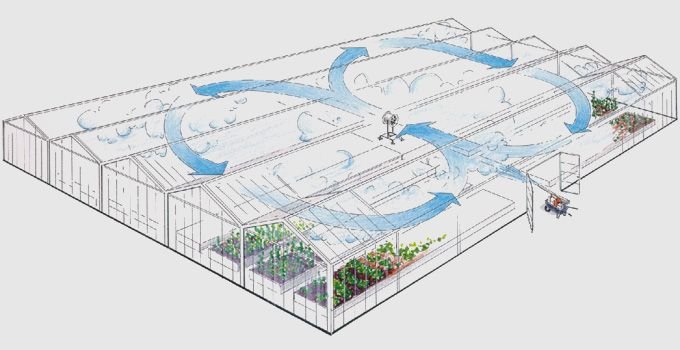 Nebulización en Invernaderos